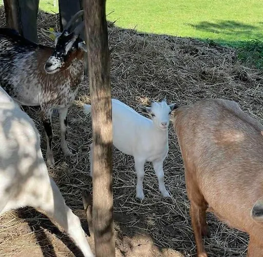 Le Petit Gite Nature Prázdninový dům Hadol