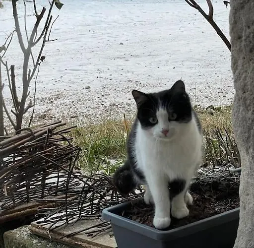 Le Petit Gite Nature Prázdninový dům